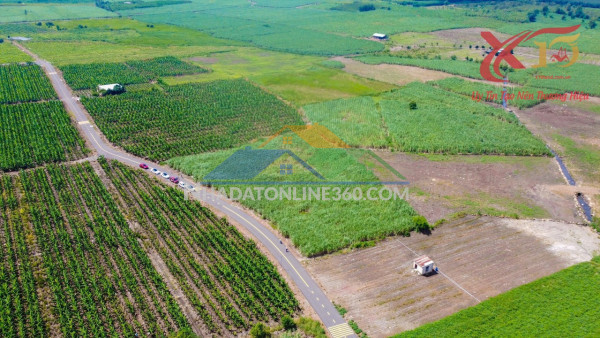 Bán đất sào xã Trung Hòa Huyện Trảng Bom Đồng Nai diện tích 1100m2 giá chỉ 1,35 tỷ