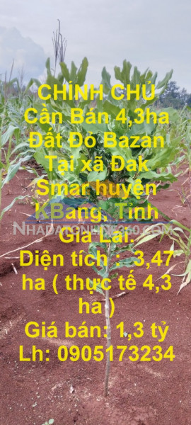 Chính chủ cần bán 4,3ha đất đỏ bazan tại xã đak smar huyện kbang, tỉnh gia lai.