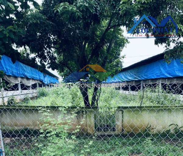 Bán trang trại tại xã Hưng Thịnh Trảng Bom Đồng Nai diện tích 13250m2 giá 18 tỷ