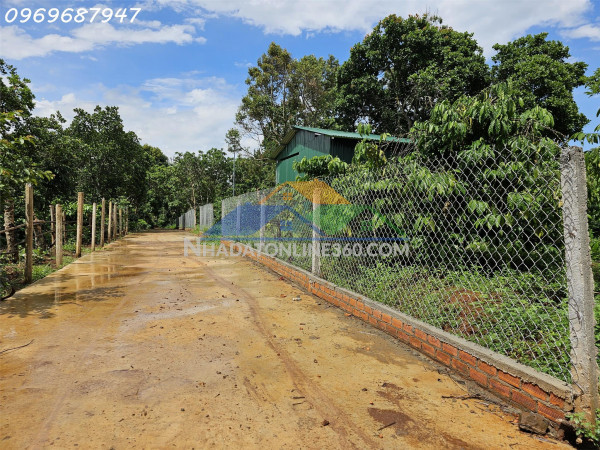 Bán lô đất đỏ ba zan 1.7ha - gần hồ sinh thái - x.ea kao-tp.buôn ma thuột - 450tr/ sào