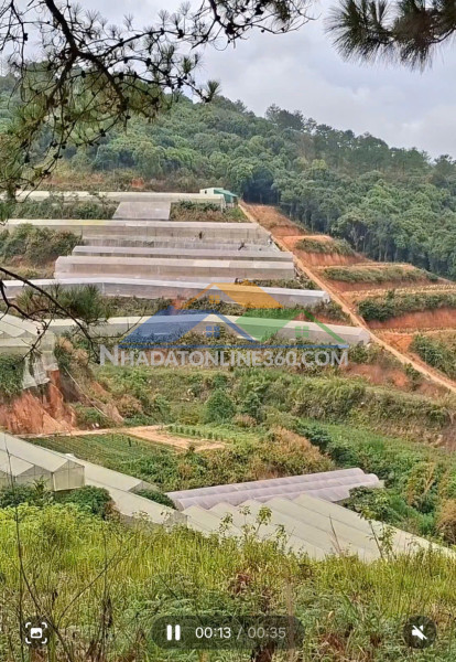 Bán lô đất tại phường 5 nối liền với xã tà nung, tp.đà lạt, tỉnh lâm đồng Bán lô đất tại phường 5 nối liền với xã tà nung, tp.đà lạt, tỉnh lâm đồng