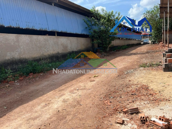 Bán nhà xưởng DT 19.300m2 Vĩnh Cửu Đồng Nai giá chỉ 36 tỷ Bán nhà xưởng DT 19.300m2 Vĩnh Cửu Đồng Nai giá chỉ 36 tỷ