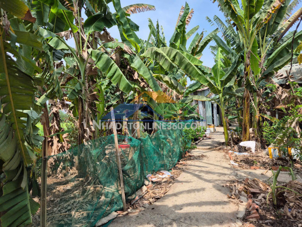 Bán đất vườn 5500m2 tại phường An Hòa Biên Hòa Đồng Nai giá chỉ 3,2tr/m² Bán đất vườn 5500m2 tại phường An Hòa Biên Hòa Đồng Nai giá chỉ 3,2tr/m²