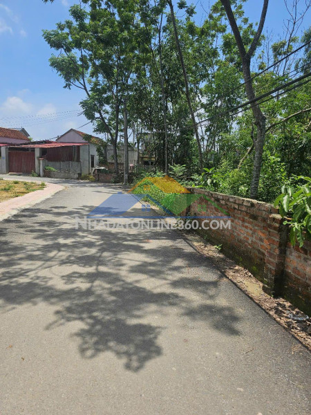Bán đất đầu tư kd xây biệt thự thôn 4 phú cát full thổ 686m giá rẻ nhỉnh 20tr