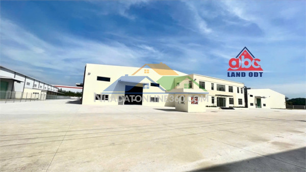 Xt318 cho thuê kho bãi dịch vụ hậu cần logistic. khuôn viên rộng dt thuê đa dạng