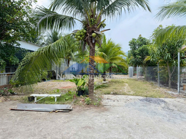 Bán gấp nhà hẻm thông đồng nai, phường nam nha trang
