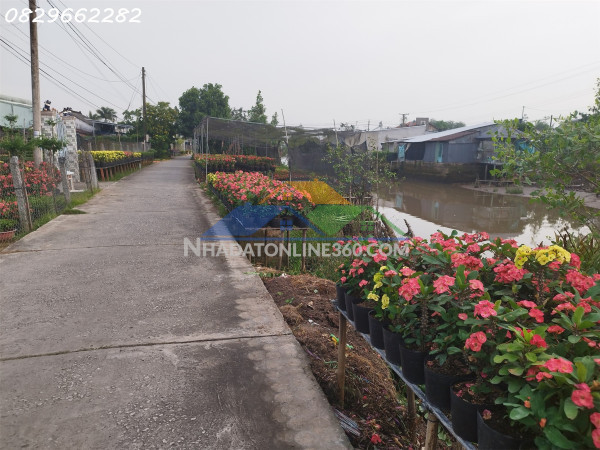 Bán gấp đất thổ cư 308m², đường phạm hồng thái, sa đéc, đồng tháp - 1 tỷ 950
