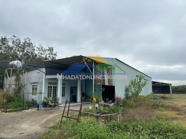 Bán gấp! siêu phẩm 4.420,8m² (559m² tc + xưởng), mt 10m nhựa, chỉ 5.3 tỷ, xã tân bình, tây ninh. Bán gấp! siêu phẩm 4.420,8m² (559m² tc + xưởng), mt 10m nhựa, chỉ 5.3 tỷ, xã tân bình, tây ninh.