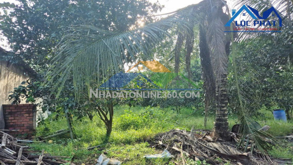 Bán đất 14000m2 tại Trảng Bom Đồng Nai  giá chỉ 13 tỷ