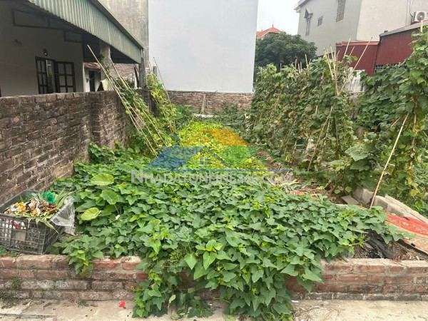 Cho thuê kho - tam hiệp - thanh trì - diện tích 5.000m² - giá 95k/m²