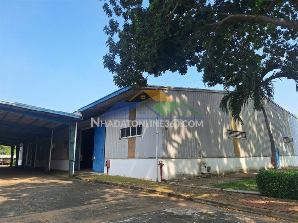 Xtnt nhà xưởng sản xuất linh hoạt nhiều ngành nghề, trống xưởng cho thuê liền
