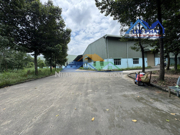 Cho thuê xưởng Tam Phước Biên Hòa 1.050 m2 chỉ 3 usd/m2