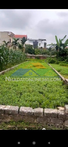 Bán 44.000m2 đất dự án tại hoàng liệt - hoàng mai