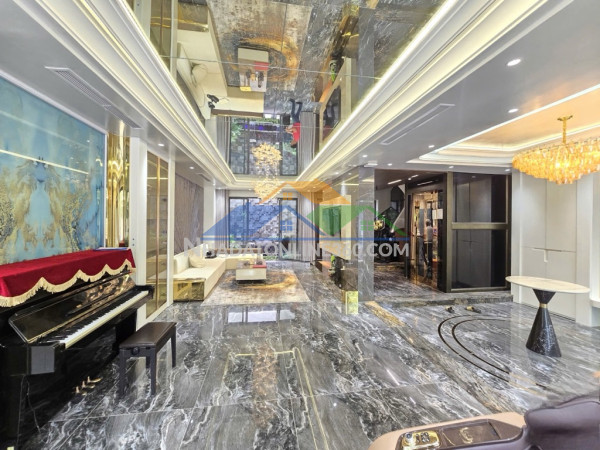 Mặt phố vip ba đình – diện tích 100m – chỉ 230tr/m² – kinh doanh sầm uất