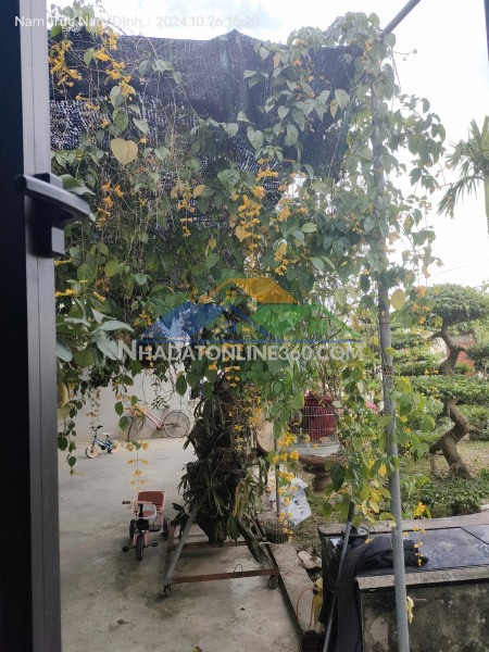 Bán gấp giá rẻ căn hộ tập thể, giải phóng 11m/50m, tầng1, mặt tiền 3.4m, 2.07 tỷ hoàng mai.
