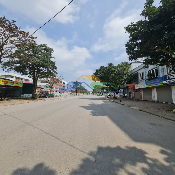 123m2 đất tái định cư trâu quỳ, gia lâm, hà nội. mt 6m, đường trục chính, giá đầu tư. lh 0989894845