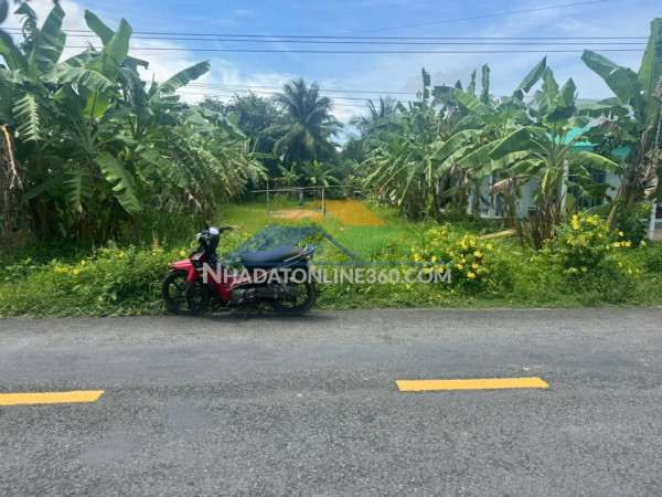 Bán đất mặt tiền đường huyện 4 – trung tâm xã nhị long phú, huyện càng long, tỉnh trà vinh