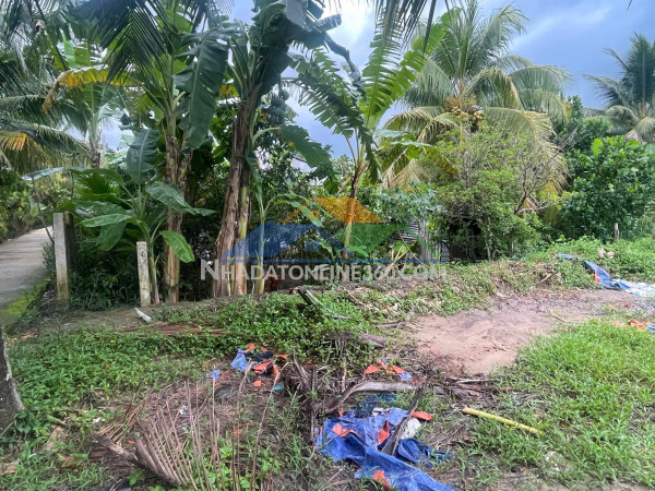 Đất đẹp – giá tốt  – chính chủ cần bán tại long hưng, châu thành, tiền giang