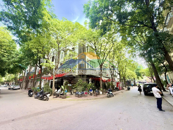 Cho thuê bt kd hàng ăn, cả phê, spa xa la 110m2 x 4 tầng - lô góc 2 mặt tiền
