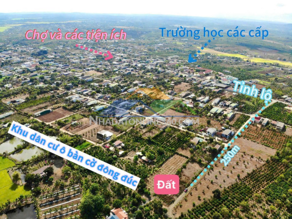 Lô đất đẹp cách tỉnh lộ 5 chỉ 200m tại cuôr knia - buôn đôn chỉ 4xxtr