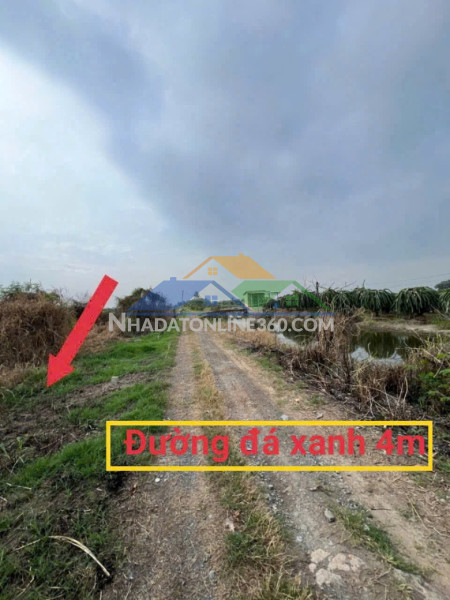 Đất đẹp giá đầu tư – trung tâm phước tân hưng, châu thành, long an