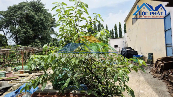 Bán đất 2 mặt tiền đường tại Phường Long Hưng Đồng Nai Bán đất 2 mặt tiền đường tại Phường Long Hưng Đồng Nai