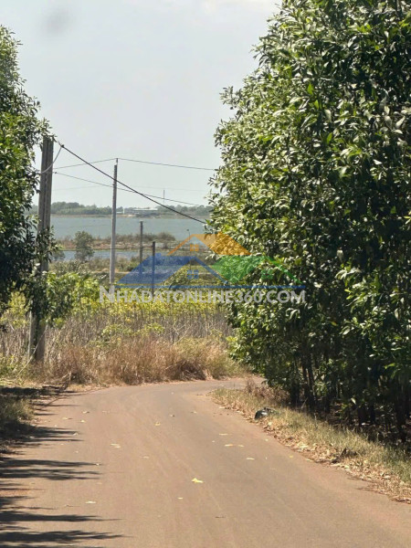 2600mv 300tc đường bê tông xe tải giá chỉ 700tr/s thôi ạ