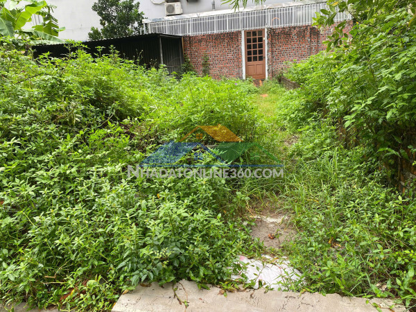 Bán đất mai lâm đông anh- hàng xóm vin cổ loa- trục lên cầu tứ liên- oto- 50m-5,x tỷ