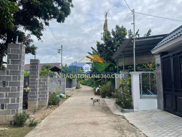 Cần bán lô đất diên an-diên khánh- nha trang dt:254m có thổ ngang 5m nở hậu 7,6m đường bê tông 6m thông ra đại lộ võ nguyên giap-bà đề -đất phố- và 23/10 bán