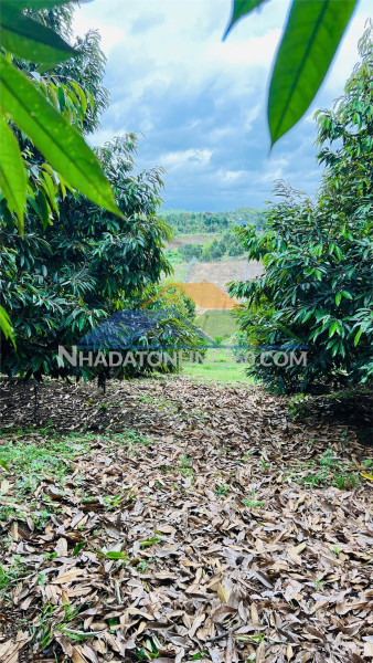 Đất đẹp  - giá đầu tư –cần bán nhanh  lô đất tại thị xã long khánh, đồng nai