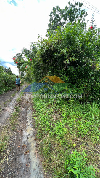 Bán đất tại ấp đồi rìu Xã Hàng Gòn, Thành phố Long Khánh, Đồng Nai giá 3,9 Tỷ 10837m2