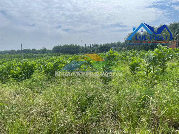 S105-Bán đất SKC 8.000m2. 16tỷ  xã Hố Nai 3, Trảng Bom, Đồng Nai.