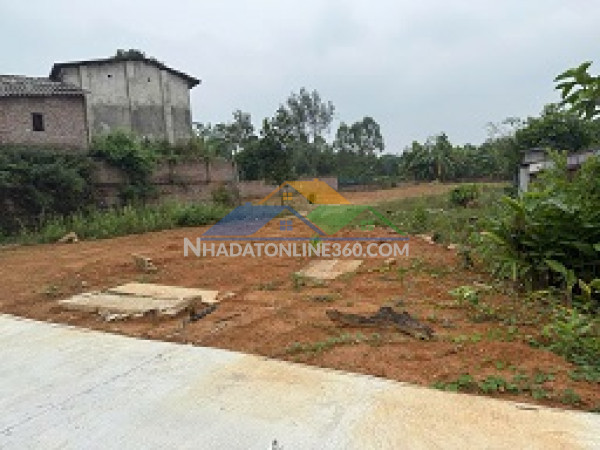 Chính chủ bán đất đẹp tại phường vân phú, tỉnh phú thọ.