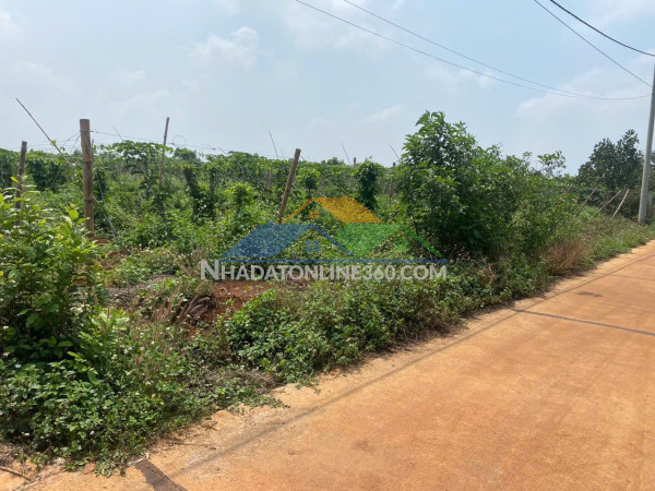 Nhanh tay sở hữu lô đất giá tốt nhất khu vực biển hồ – pleiku!