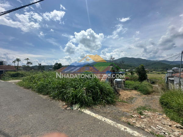 Bán đất 1,5 mẫu có 400m² thổ cư và 4 sào cao ráo tại ka đô, đơn dương – giá 9.8 tỷ