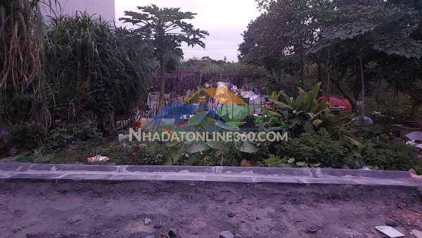 Đất giãn dân 150m2, mt6m, 2 xe ô tô, bắc hồng, đông anh, 9.9 tỷ.