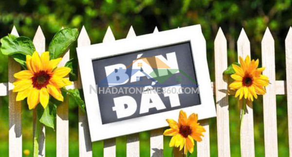 Chính chủ cần bán mảnh đất vuông vắn, đẹp tại ngõ 387 vũ tông phan, phường khương đình, quận thanh xuân, hà nội