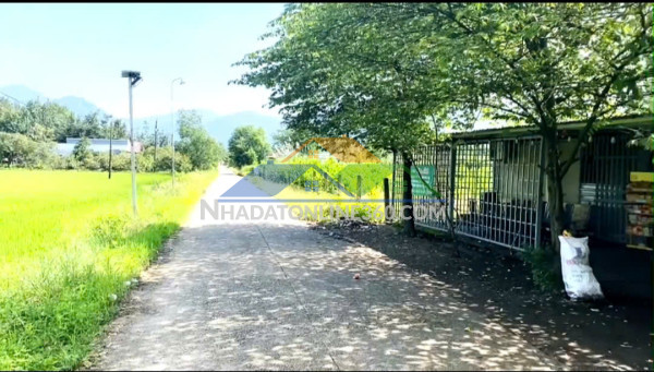 Sở hữu ngay lô đất đẹp - giá tốt - vị trí đắc địa tại bắc ruộng, lâm đồng