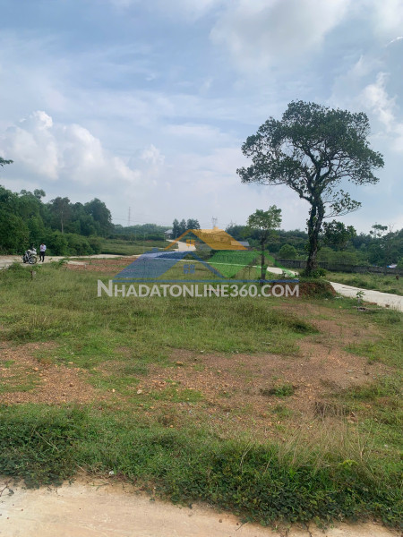 KHÔNG MUA LÔ NÀY THÌ MUA LÔ NÀO NỮA ANH CHỊ ƠI !  CƠ HỘI VÀNG...