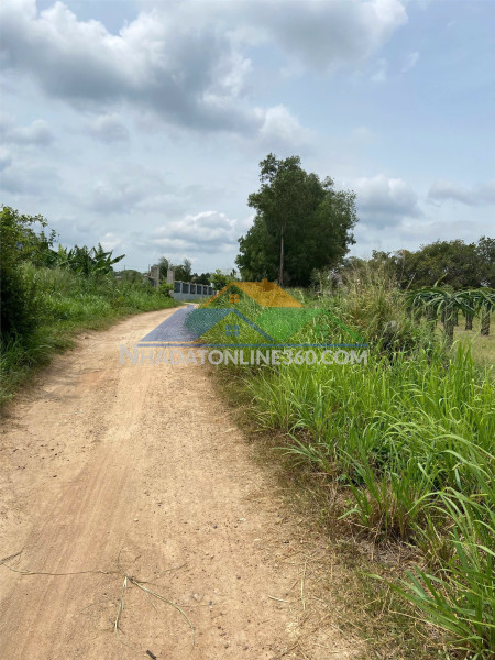 Đất chính chủ - giá tốt - 3ha khu vực đội 7 xã tân thuận, hàm thuận nam, bình thuận