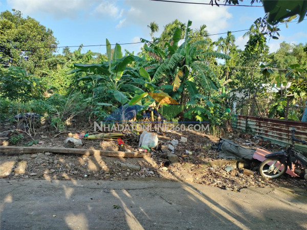 ???? đất đẹp kiệt nguyễn như đãi – 150m² rộng rãi – giá chỉ 2,5 tỷ!