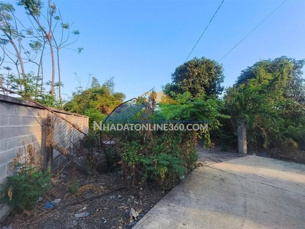 Đất đẹp - giá tốt - chính chủ cần bán nhanh lô đất 3725 m2...