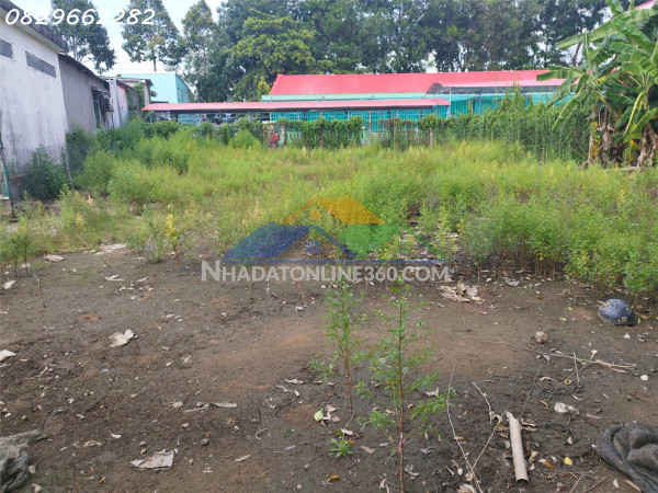 Bán đất thổ cư mặt tiền gần chợ - tân khánh đông, sa đéc, 547m2, giá 2.6 tỷ