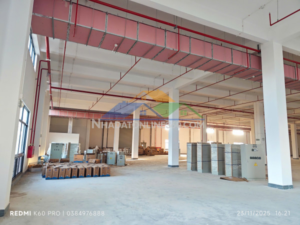 Cho thuê nhà xưởng ccn bắc ninh – bàn giao ngay

xưởng 2 tầng &...