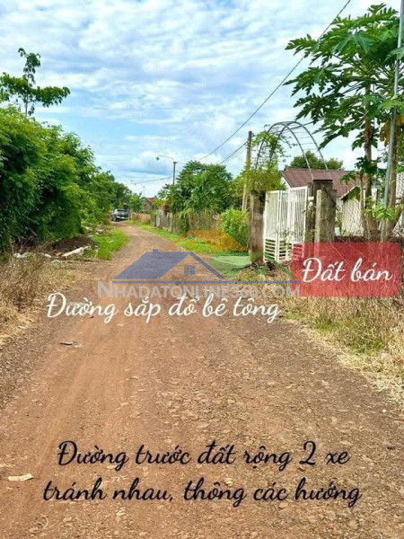 Ea ning- cư kuin- đắ klắk dt 5*50m thổ cư 60m2 view hồ trên đất full trái cây chỉ 2xxtr