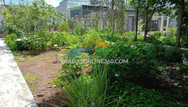 Cho thuê đất thổ cư 5 năm tại đường hoàng quốc việt, liên...