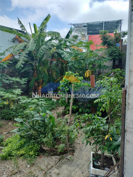 ???? lô đất hiếm – đẹp – rộng ngay hòa thọ đông – chỉ 2,8 tỷ!