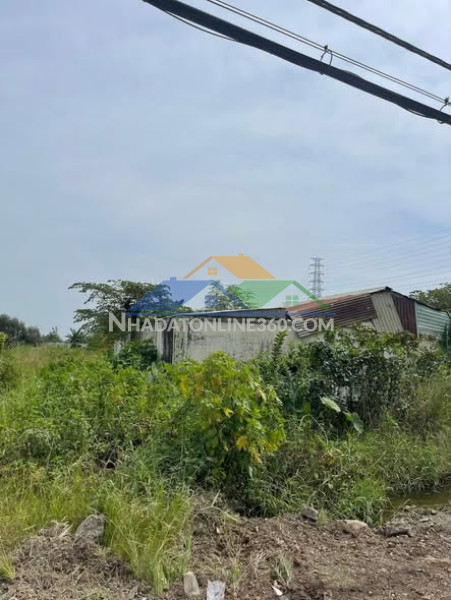 Bán đất mặt tiền 8000m giá 12 triệu/m2 đường tỉnh lộ 15