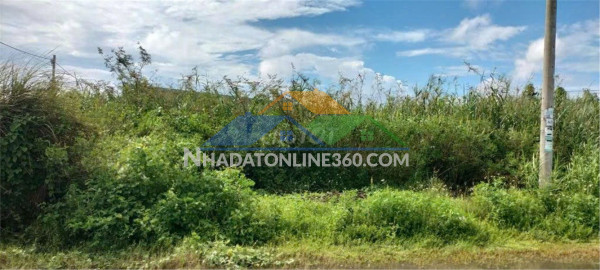 Đất chính chủ - sổ hồng riêng - bán đất khu du lịch suối mơ - đồng nai