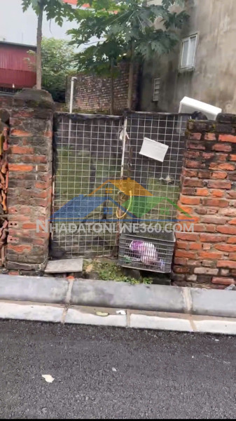 Giá đầu tư- bán đất mai lâm- oto tránh- kinh doanh sầm uấthàng xóm vin cổ loa- 70m nhỉnh 7 tỷ (tl)